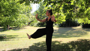 Logo-team-building-digital-tai-chi-taos-event