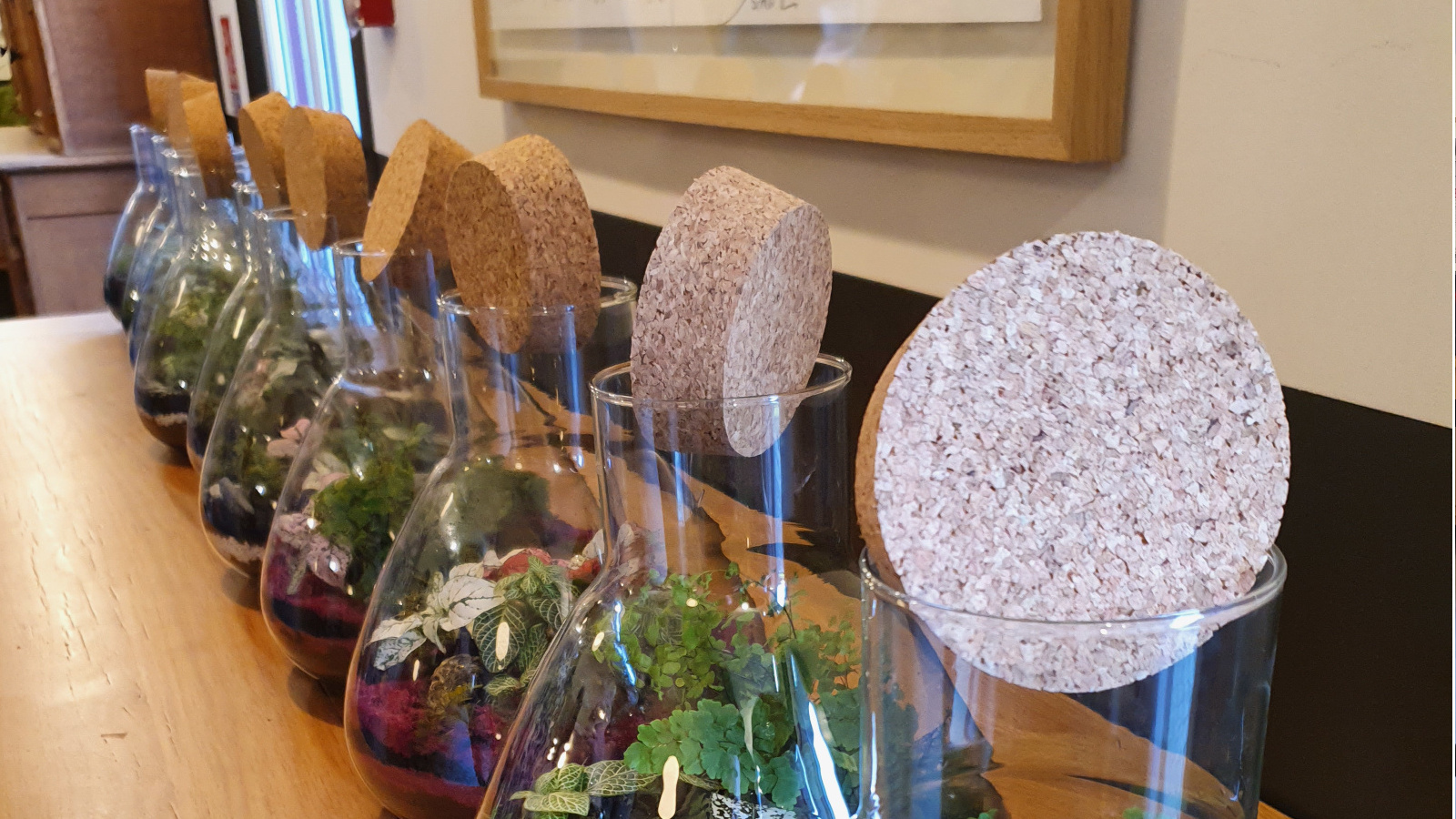 team-building-rse-terrarium-1