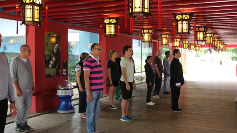 team-building-tai-chi-2-taos-event